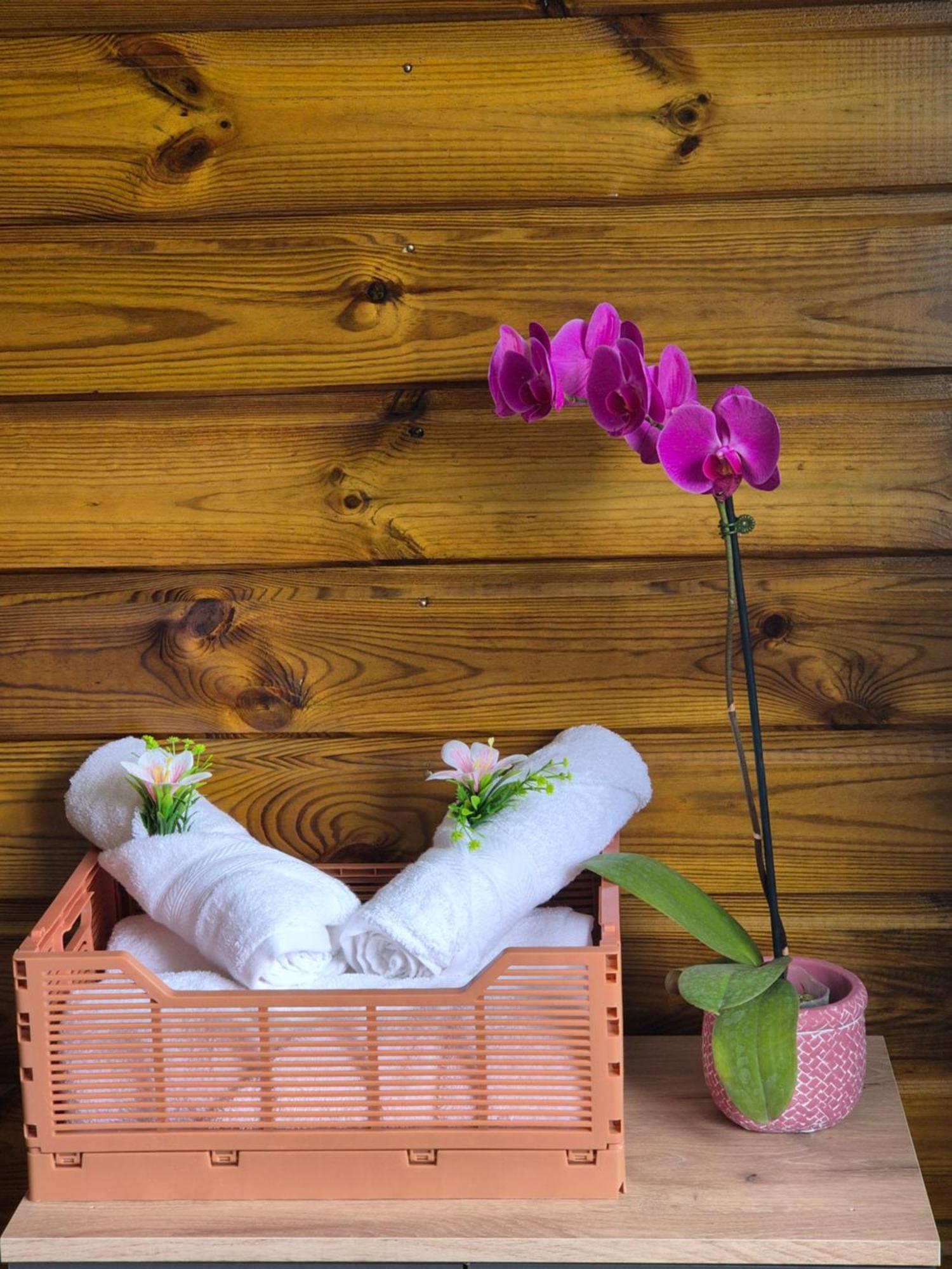 Chez Ti Karl Lägenhet Le Tampon Exteriör bild